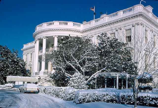 Mọi thứ phủ một màu trắng: con đường, cây cối và cả chiếc xe đang đỗ.