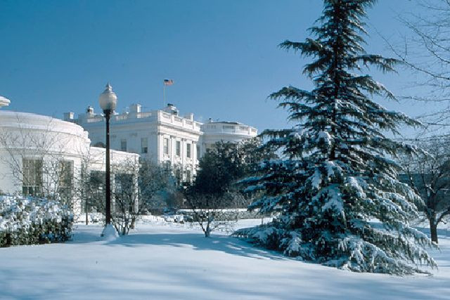 Nước sơn trắng của Nhà Trắng phù hợp hoàn hảo với khung cảnh này.