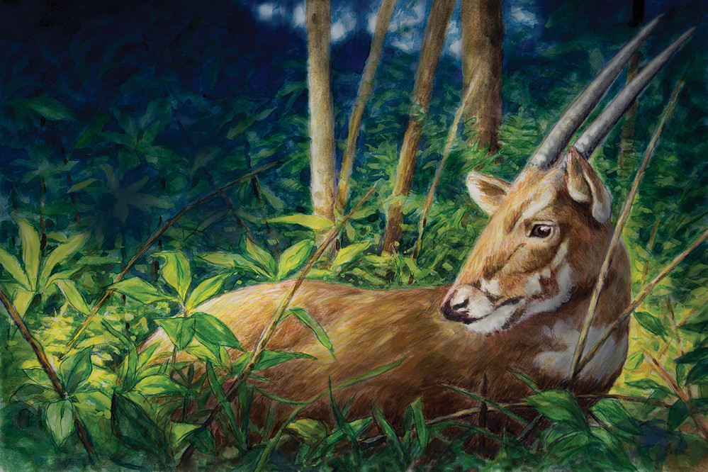 Theo các nhà khoa học, Sao la là loài đặc hữu của núi rừng Trường Sơn. Chúng chỉ được tìm thấy tại các vùng rừng núi hoang sơ thuộc Trung Trường Sơn Việt Nam và Nam Lào, gần khu vực rừng đầu nguồn của các con sông nơi có nhiều ghềnh đá và vách núi. Với sự bí ẩn và quý hiếm, Sao la được mệnh danh là "Kỳ lân châu Á".