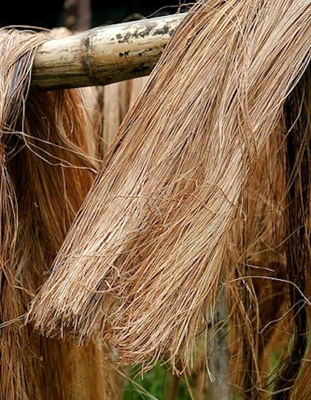 Điều này được ghi lại của một số tư liệu lịch sử Trung Hoa cổ, như sách Quảng chí chép: “Ở Giao Chỉ, thân cây chuối xé ra như tơ, dệt thành vải gọi là tiêu cát, dễ rách, nhưng đẹp, màu vàng nhạt. Cũng gọi là vải Giao Chỉ”.