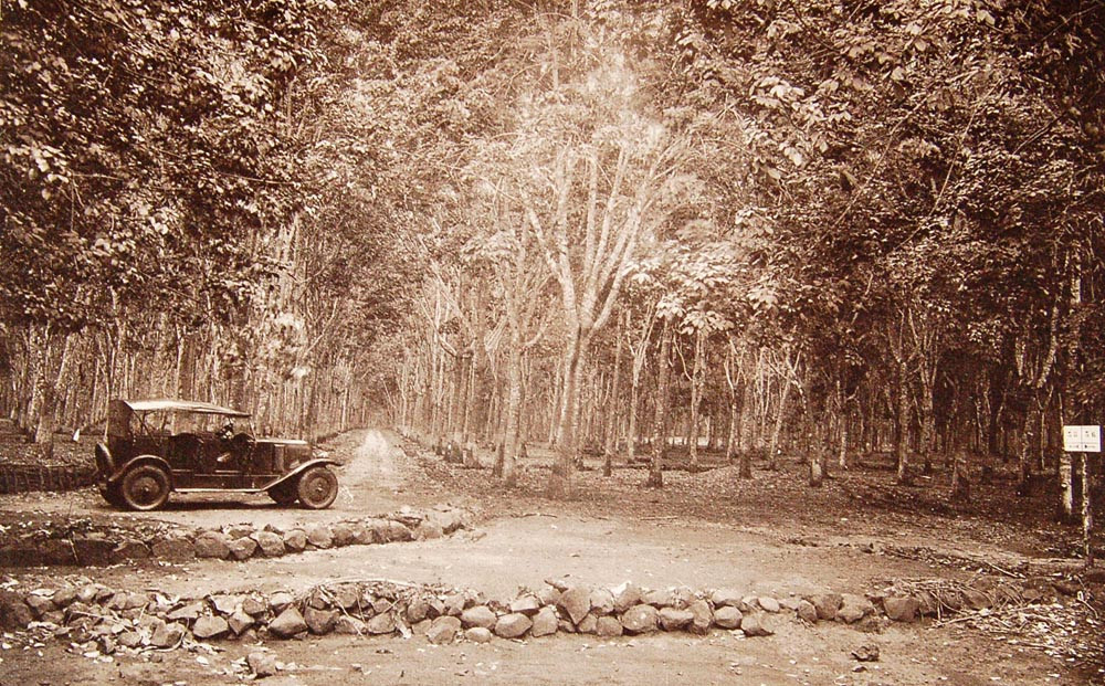 Về chủng loại, có 7.479 xe ô tô con, 1.532 xe ô tô cỡ lớn, 1288 xe gắn máy.