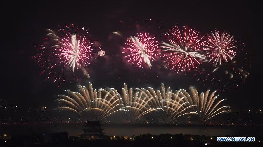 Một chùm pháo hoa màu tím tuyệt đẹp nở bung trên bầu trời đêm.