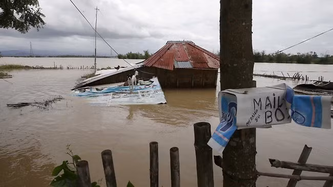 Cô Glenn Diwa, công chức nhà nước 34 tuổi ở thị trấn Capas cách Manila 90 km về phía Bắc cho biết, cô và chồng không thể ngủ suốt thời gian bão về bởi tiếng gió mưa gào thép ầm ầm bên ngoài.