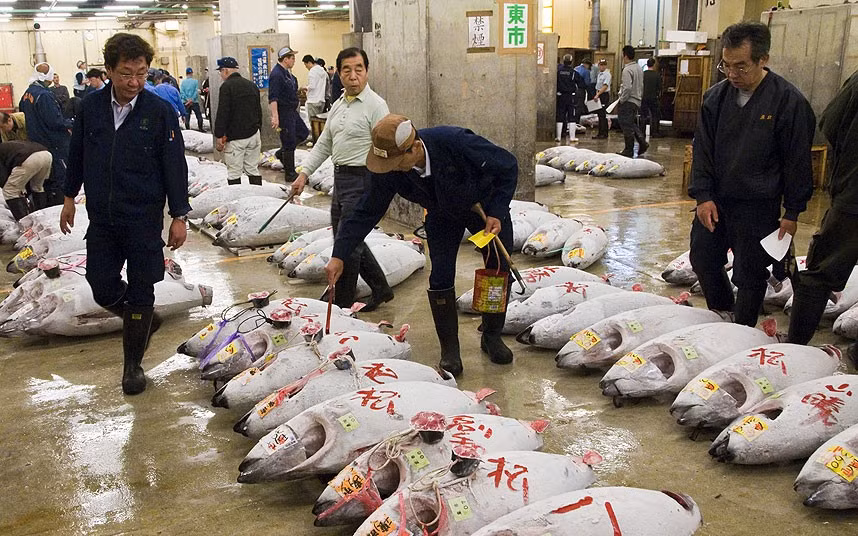 Ảnh chụp lúc 5 giờ sáng mô tả chợ cá Tsukiji ở Tokyo, Nhật Bản của nhiếp ảnh gia người Anh Jason Pemberton.