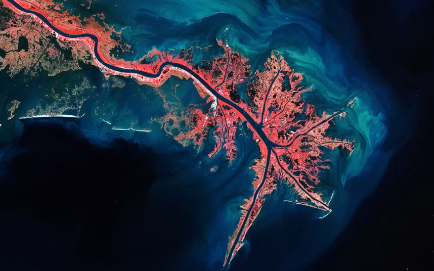 Sông Mississippi trông như một cây lá đỏ vào mùa thu.