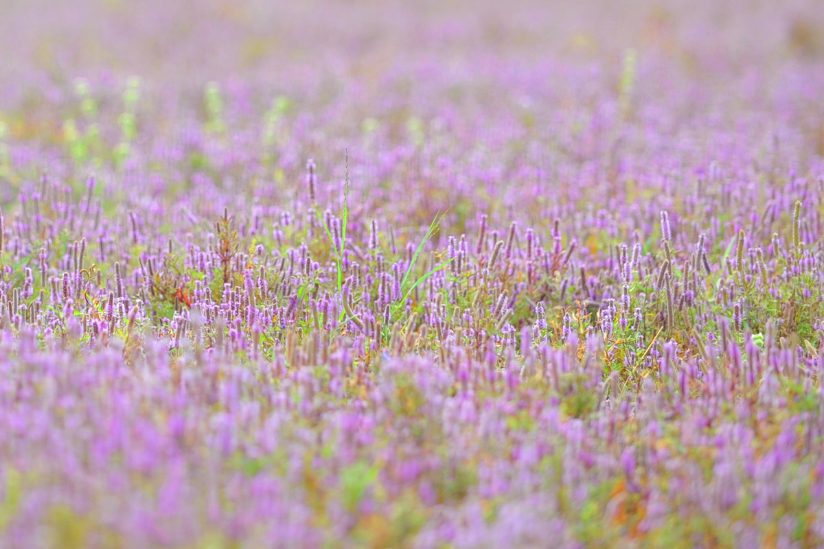 Thậm chí, nhờ sự thông minh và tài giỏi của bản thân mà những người này còn có một sự nghiệp thành công và thuận buồm xuôi gió.