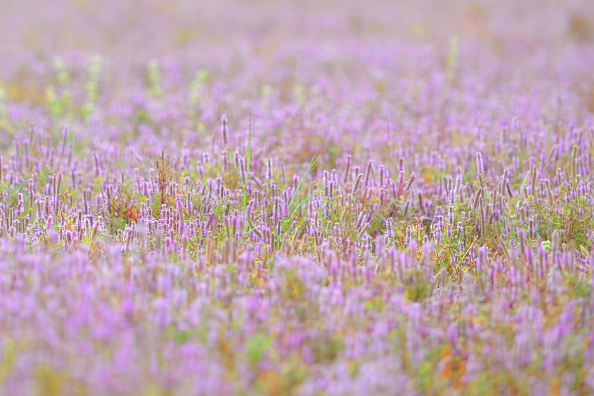 Thậm chí, nhờ sự thông minh và tài giỏi của bản thân mà những người này còn có một sự nghiệp thành công và thuận buồm xuôi gió.