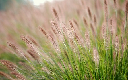 Nguoi nao sinh 1 trong 3 thang nay Bo Tat phu ho suot doi-Hinh-3