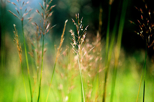 Những người này yêu thích sự tự do, không thích bị kìm kẹp. Họ có sự linh hoạt trong cuộc đời, không mấy khi phải lo lắng về tin bạc, cuộc sống luôn gặp bình an. 