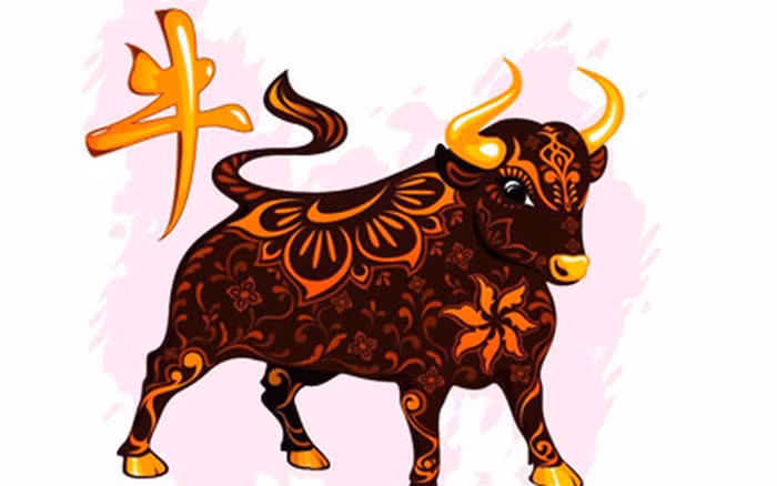  Tuổi Sửu. Xét thấy tính cách của người tuổi Sửu trong tử vi trọn đời là người cần cù, chịu thương chị khó, làm gì cũng tận tâm tận lực để đạt được thành công. 