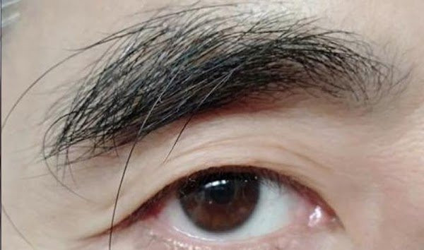 Co nhan noi: “30 long dai 40 dot tu, 50 long moc menh truong tho