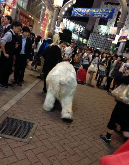 Đoạn clip về cô gái xinh đẹp dắt gấu Bắc Cực đi dạo nhận được hàng triệu lượt xem chỉ sau 1 ngày đăng tải lên Youtube.