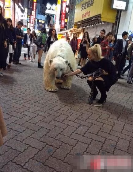 Một số cư dân mạng sau khi xem bức ảnh này đã nhận xét rằng trông chú gấu thật tội nghiệp, trông chú ta như đang ủ rũ và chỉ muốn chạy trốn. Một số cho rằng đây chẳng khác nào một "thú chơi ác ôn" của những người giàu có.