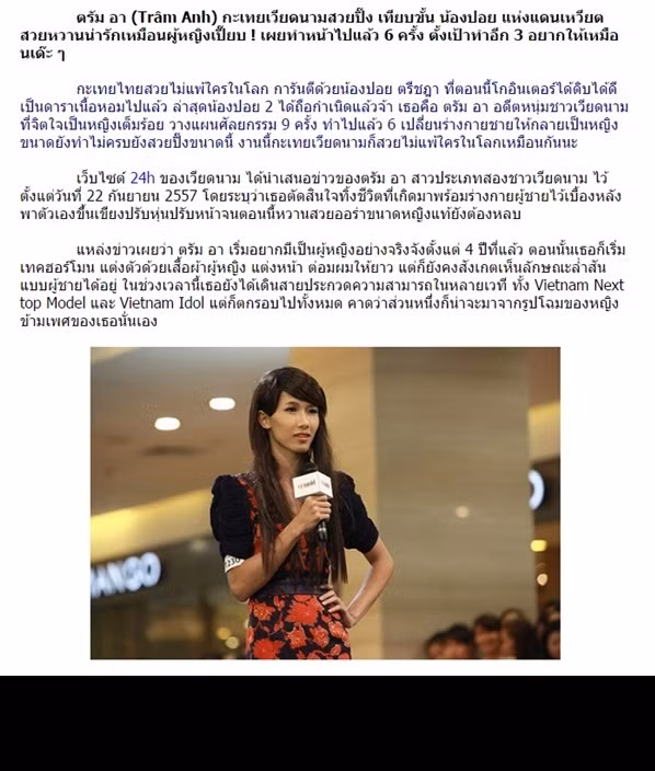 Trong bài viết, tác giả dùng rất nhiều ngôn từ mỹ miều để tung hô vẻ đẹp của Trâm Anh. Bài viết có đoạn "Trâm Anh chẳng hề thua kém Nong Poy - người đã trở thành siêu sao của làng giải trí Thái Lan, chúng ta lại tìm thấy một Nong Poy thứ 2 rồi", "Trâm Anh sinh ra là con trai nhưng có trái tim hoàn toàn của con gái. Dự định làm thẩm mỹ 9 lần, mới chỉ làm 6 lần phẫu thuật cơ thể sang con gái. Chưa hoàn thành 100% nhưng đã vô cùng xinh đẹp".