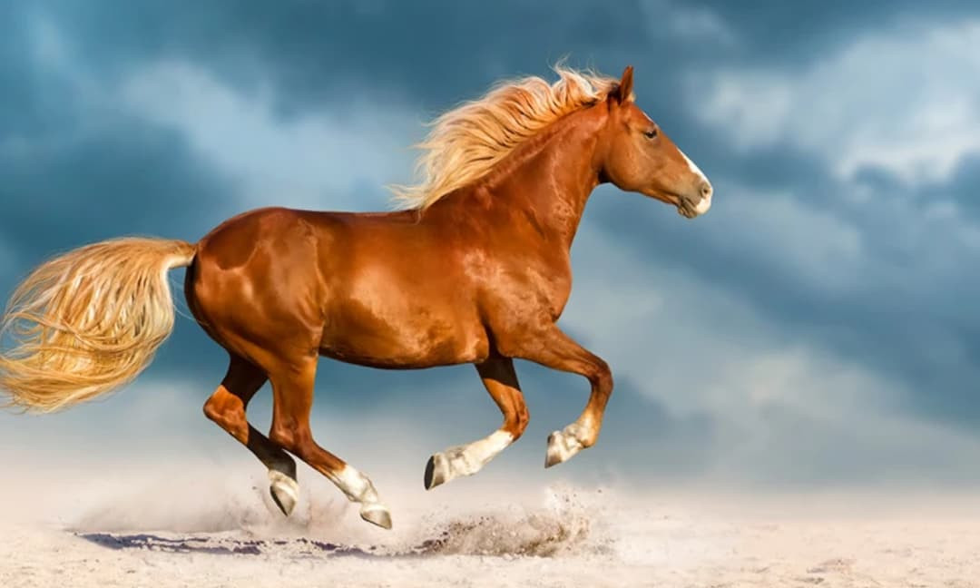  Tài chính của tuổi Ngọ trong tháng 4 sẽ có những bước đột phá lớn. Những khoản đầu tư trước đây có thể bắt đầu sinh lời, đặc biệt là trong lĩnh vực bất động sản hoặc chứng khoán.