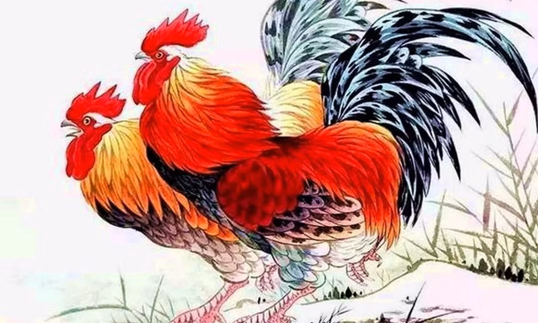  Ngoài ra, người tuổi Dậu cũng dễ “mất kiểm soát” với những món mua sắm nhỏ nhưng dồn dập, dẫn đến hụt ngân sách không rõ lý do.