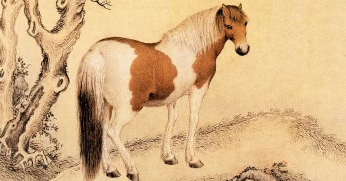 Nếu bạn cầm tinh con giáp tuổi Ngọ, hãy nắm bắt làn sóng may mắn này và cuộc sống của bạn sẽ đi đúng hướng từ bây giờ!