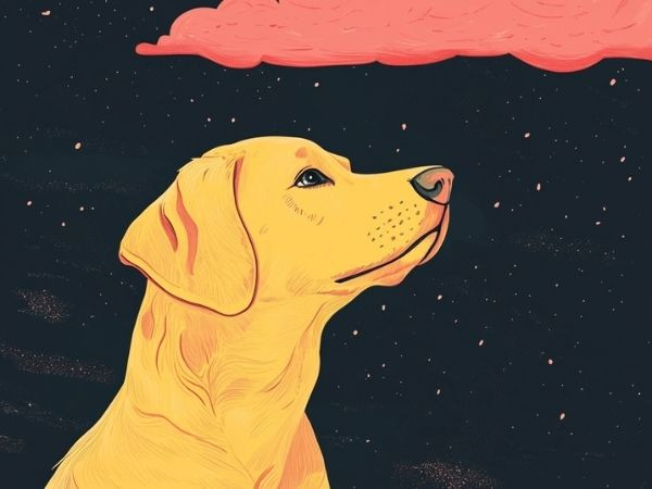 Con giáp tuổi Tuất: Trong 7 ngày tới, ảnh hưởng của Hình hại đặc quyền nên con giáp tuổi Tuất có cảm giác mình đang bị người khác kiểm soát, dẫn dắt. 