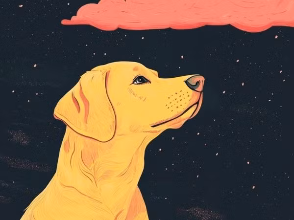 Con giáp tuổi Tuất: Trong 7 ngày tới, ảnh hưởng của Hình hại đặc quyền nên con giáp tuổi Tuất có cảm giác mình đang bị người khác kiểm soát, dẫn dắt. 