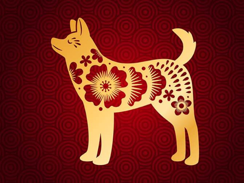  Thế nhưng đừng để bản thân đi lạc hướng, lúc cần hãy biết dừng lại và nói không nhé. Người tuổi Tuất càng ngày càng gia tăng lo lắng khi thấy tốc độ của mình chậm lại, không có cơ hội để phát triển, tiến lên. 