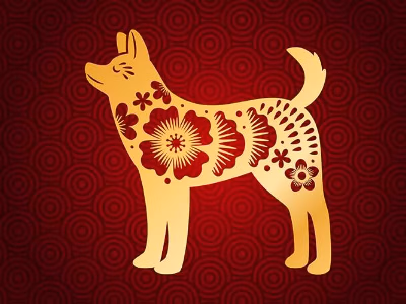  Thế nhưng đừng để bản thân đi lạc hướng, lúc cần hãy biết dừng lại và nói không nhé. Người tuổi Tuất càng ngày càng gia tăng lo lắng khi thấy tốc độ của mình chậm lại, không có cơ hội để phát triển, tiến lên. 