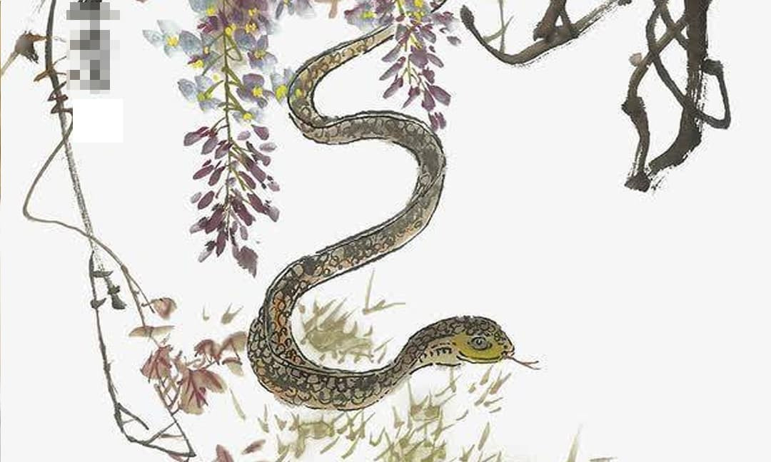 Đồng thời, khi nói đến vấn đề quản lý tài chính, người tuổi Tỵ nên lắng nghe nhiều hơn lời khuyên của các chuyên gia và tránh hành động một cách mù quáng. Chỉ cần họ chăm chỉ làm việc, con đường phía trước sẽ ngày càng rộng mở hơn. *Thông tin trong bài chỉ mang tính chiêm nghiệm, tham khảo