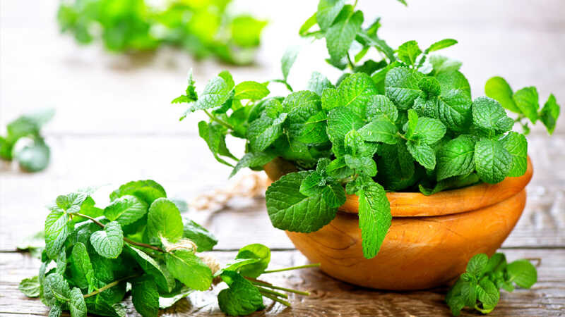  Hãy uống một tách trà bạc hà khi bạn không có việc gì làm, nó sẽ giúp bạn sảng khoái tinh thần, tràn đầy năng lượng và có nhiều năng lượng hơn để làm bất cứ việc gì.