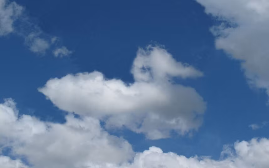 "Vịt mây" bơi trên bầu trời