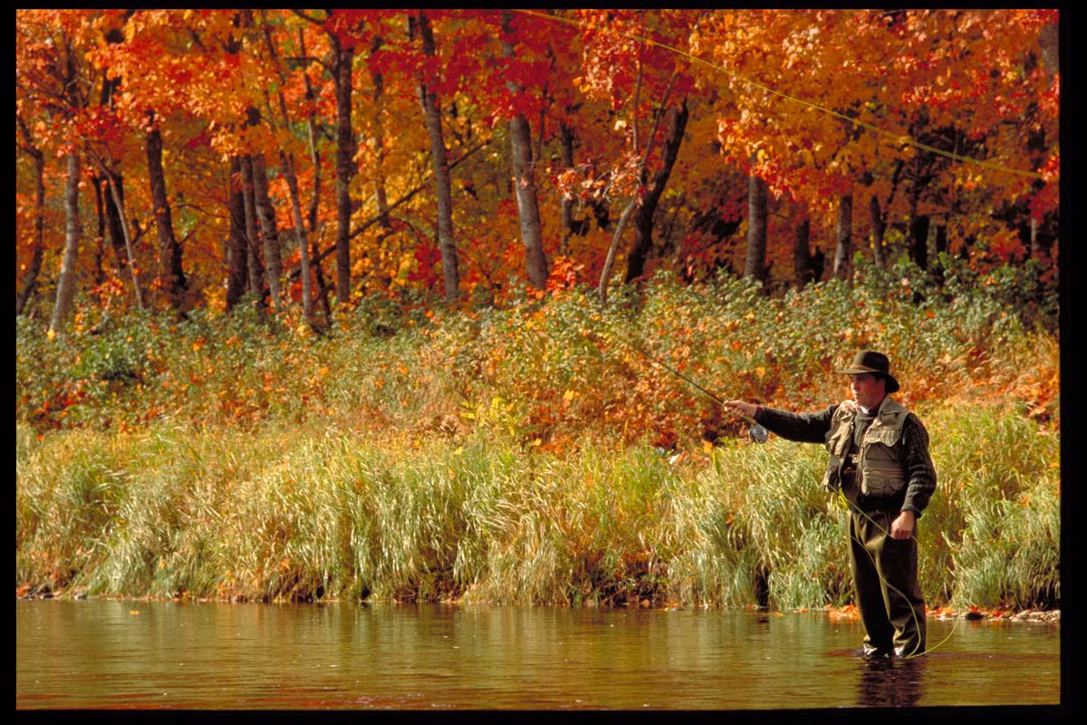 Fundy Coastal Drive, New Brunswick.