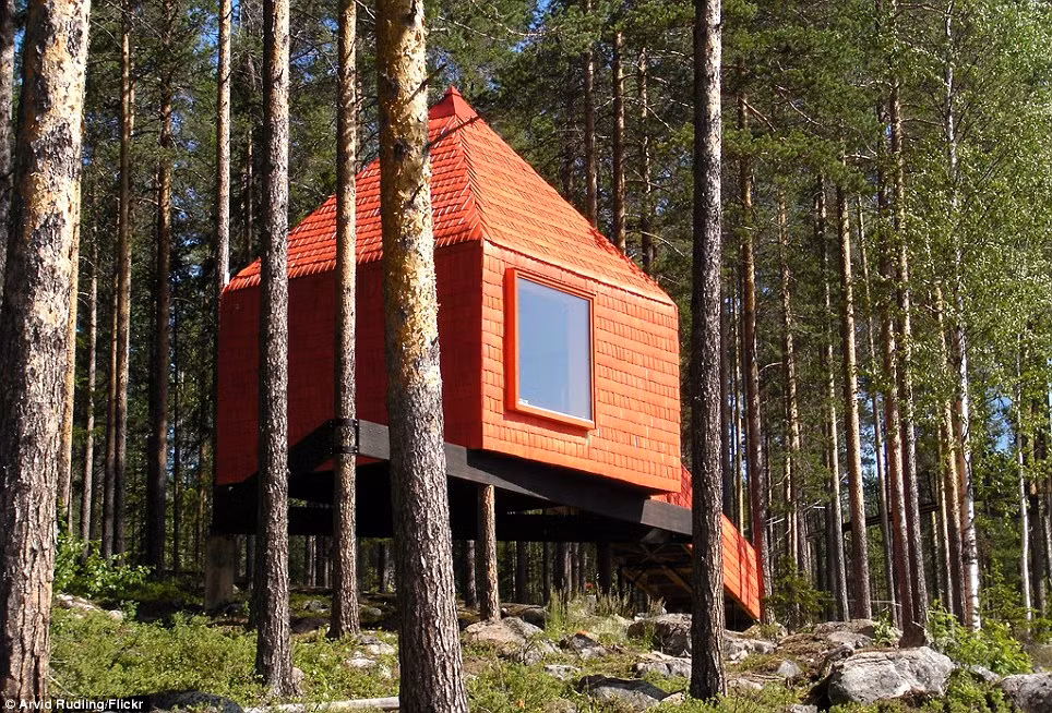 Khách sạn trên cây có màu đỏ nổi bật do công ty SandellSandberg thiết kế và xây dựng tại Mirrorcube, Thụy Điển.