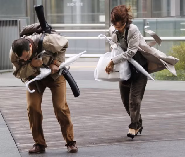 Bão Man-yi cũng khiến nhiều chuyến tàu và hàng trăm chuyến bay tại thủ đô Tokyo phải hủy bỏ hoặc tạm hoãn.