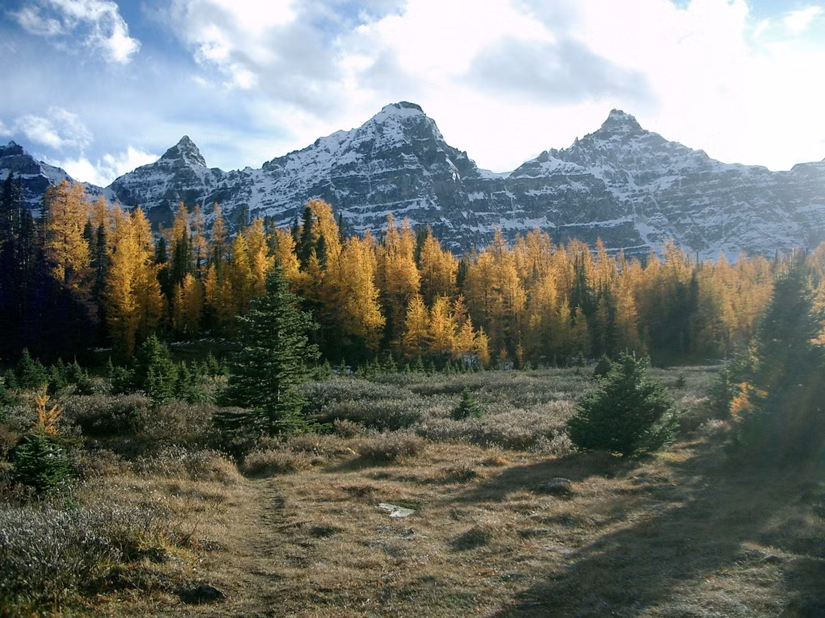 Núi Rocky, Alberta.