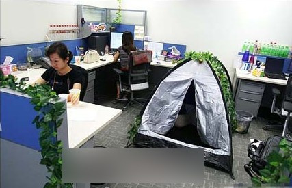 Cắm trại giữa văn phòng.