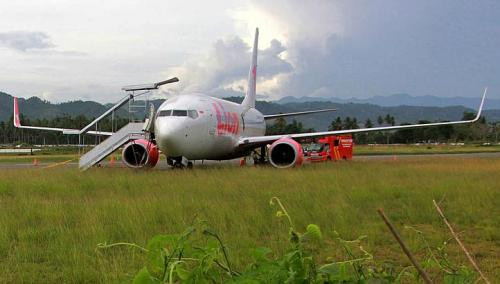 Chiếc máy bay Boeing lao xuống cánh đồng sau khi đâm vào một con bò.