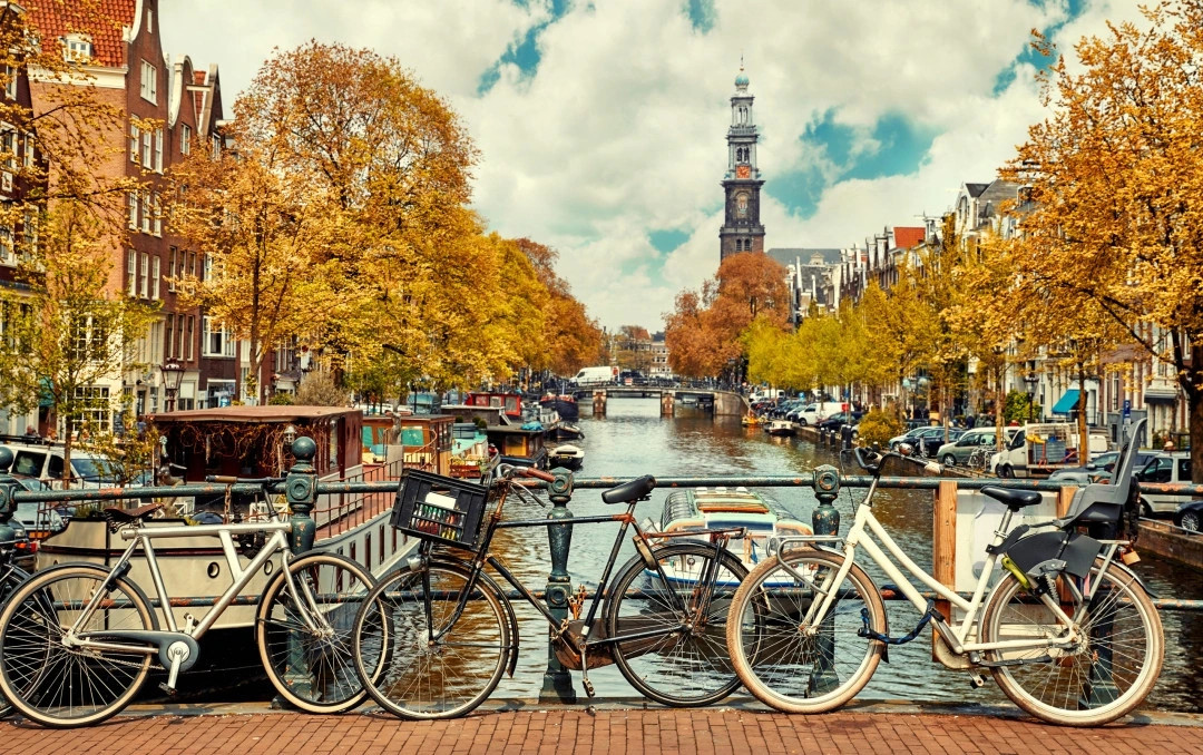 Ở Amsterdam, Hà Lan, khi một người qua đời mà không có bạn đồng hành hoặc người thân đến dự đám tang, nhà thơ được giao nhiệm vụ sáng tác và làm một bài thơ ngắn trong buổi lễ.