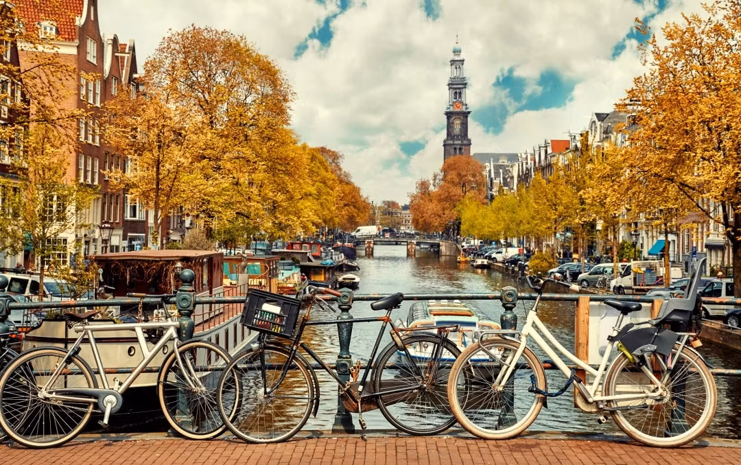 Ở Amsterdam, Hà Lan, khi một người qua đời mà không có bạn đồng hành hoặc người thân đến dự đám tang, nhà thơ được giao nhiệm vụ sáng tác và làm một bài thơ ngắn trong buổi lễ.