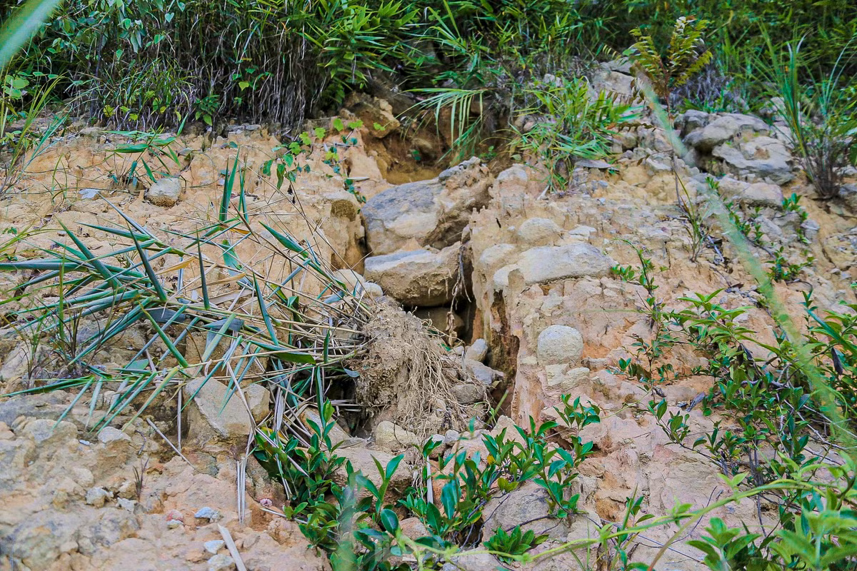 Nhiều vết nứt lớn trên sườn núi.