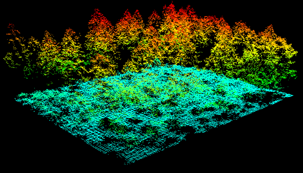  9. Công cụ quan trọng trong lâm nghiệp. LiDAR được sử dụng để đo chiều cao cây, mật độ tán lá và sức khỏe của rừng, giúp quản lý tài nguyên rừng hiệu quả. Ảnh: Pinterest.