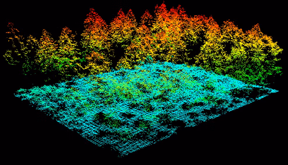 9. Công cụ quan trọng trong lâm nghiệp. LiDAR được sử dụng để đo chiều cao cây, mật độ tán lá và sức khỏe của rừng, giúp quản lý tài nguyên rừng hiệu quả. Ảnh: Pinterest.