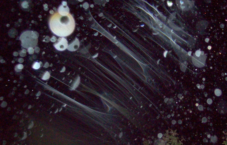  9. Phát hiện qua mô phỏng máy tính. Mưa kim cương được phát hiện thông qua các mô phỏng máy tính và nghiên cứu lý thuyết dựa trên dữ liệu từ các tàu vũ trụ như Voyager và Cassini. Ảnh: Pinterest.