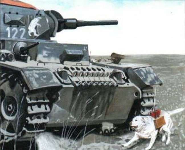 Theo sách "Động vật và chiến tranh", các chú chó cứu thương và vận tải đã chuyển đến trận địa gần 3.500 tấn đạn dược, đưa được 700.000 binh sĩ bị thương nặng về tuyến sau. Các chú chó công binh phát hiện gần 1 triệu quả mìn, bộc phá và các loại chất nổ khác. Chó liên lạc đã chuyển được 120.000 bản báo cáo, giúp rải gần 8.000 km đường dây điện thoại nối liên lạc. Các chú chó diệt xe tăng phá hủy hơn 1.300 chiếc.