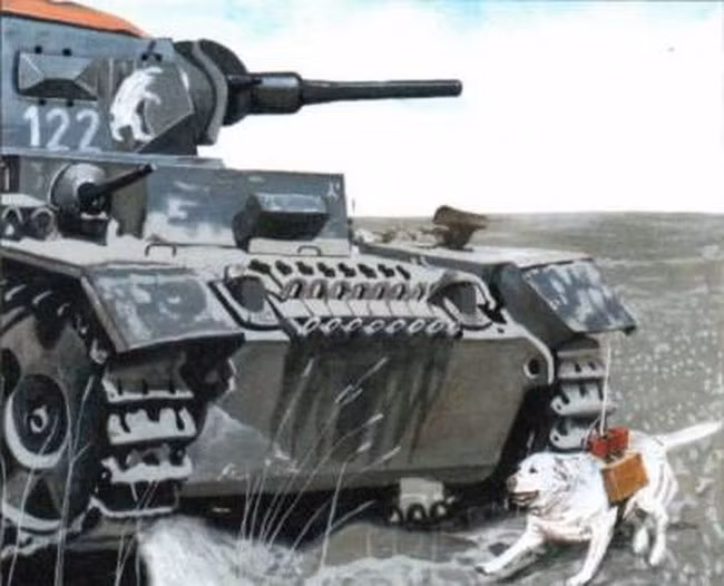 Theo sách "Động vật và chiến tranh", các chú chó cứu thương và vận tải đã chuyển đến trận địa gần 3.500 tấn đạn dược, đưa được 700.000 binh sĩ bị thương nặng về tuyến sau. Các chú chó công binh phát hiện gần 1 triệu quả mìn, bộc phá và các loại chất nổ khác. Chó liên lạc đã chuyển được 120.000 bản báo cáo, giúp rải gần 8.000 km đường dây điện thoại nối liên lạc. Các chú chó diệt xe tăng phá hủy hơn 1.300 chiếc.