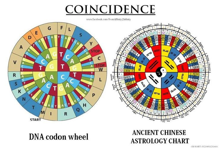  13. Sự phát triển qua thời gian. Ban đầu Kinh Dịch chỉ là một cuốn sách dự đoán tương lai đơn giản. Tuy nhiên, qua thời gian, nó đã trở thành một công cụ triết học sâu sắc, được Nho giáo và Đạo giáo khai thác để giải thích sự vận động của vũ trụ và đời sống. Ảnh: Pinterest.