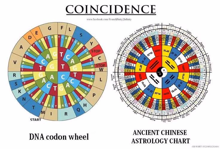  13. Sự phát triển qua thời gian. Ban đầu Kinh Dịch chỉ là một cuốn sách dự đoán tương lai đơn giản. Tuy nhiên, qua thời gian, nó đã trở thành một công cụ triết học sâu sắc, được Nho giáo và Đạo giáo khai thác để giải thích sự vận động của vũ trụ và đời sống. Ảnh: Pinterest.
