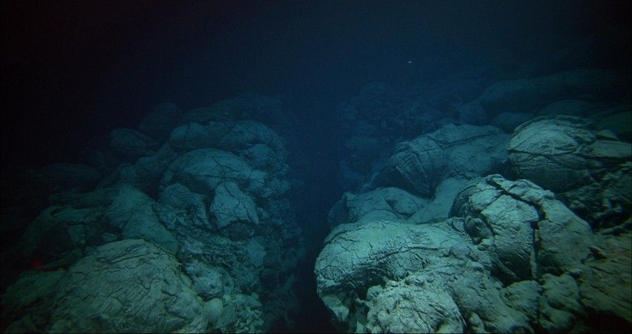  14. Ô nhiễm ở độ sâu cực hạn. Ngạc nhiên là ngay cả ở độ sâu như rãnh Mariana, các nhà nghiên cứu đã tìm thấy dấu vết của ô nhiễm, bao gồm nhựa và các hóa chất độc hại như PCBs. Ảnh: Pinterest.