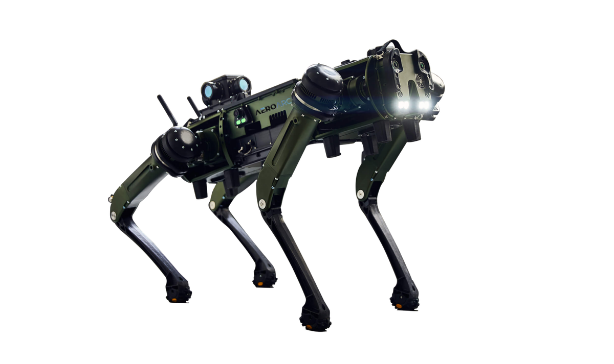  3. Khả năng mang vác. MULE có khả năng mang theo hàng hóa, thiết bị quân sự hoặc vũ khí nhỏ, giúp giảm gánh nặng cho binh lính. Ảnh: aeroarc.in.