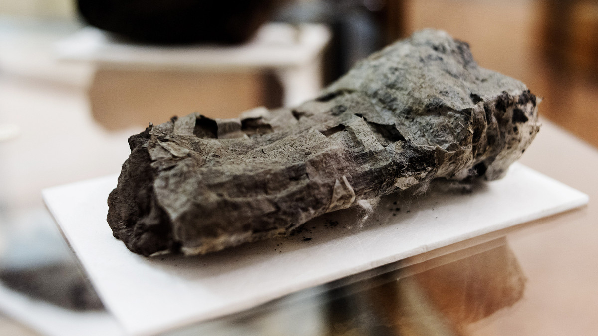  11. Dự án kéo dài nhiều thập kỷ. Thành tựu này là kết quả của hơn 20 năm nghiên cứu không ngừng nghỉ của Brent Seales và cộng sự. Ảnh: NPRt.