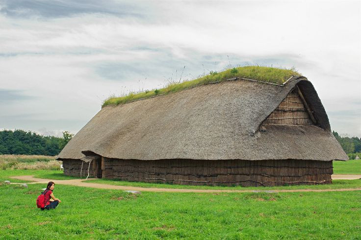  12. Các khu định cư lớn. Một số khu định cư Jomon rất lớn và lâu dài, với một số công trình có thể chứa hàng trăm người, điều này cho thấy khả năng tổ chức xã hội đáng chú ý của họ. Ảnh: Pinterest.