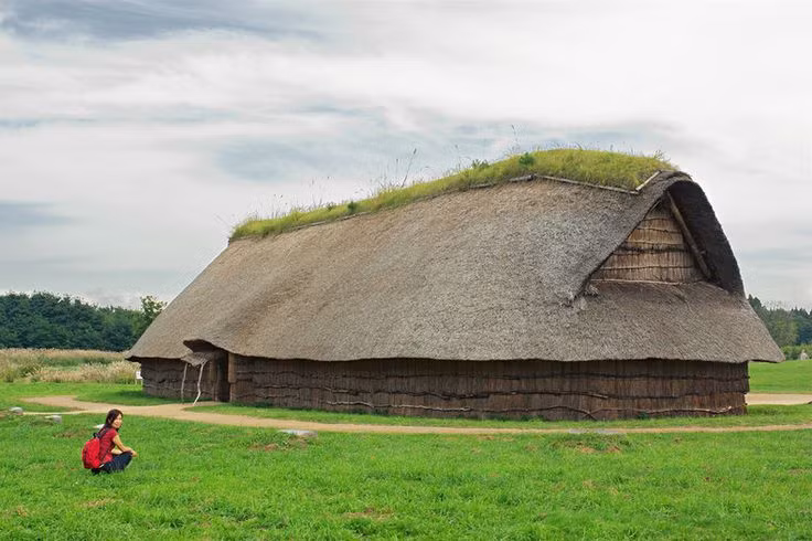  12. Các khu định cư lớn. Một số khu định cư Jomon rất lớn và lâu dài, với một số công trình có thể chứa hàng trăm người, điều này cho thấy khả năng tổ chức xã hội đáng chú ý của họ. Ảnh: Pinterest.