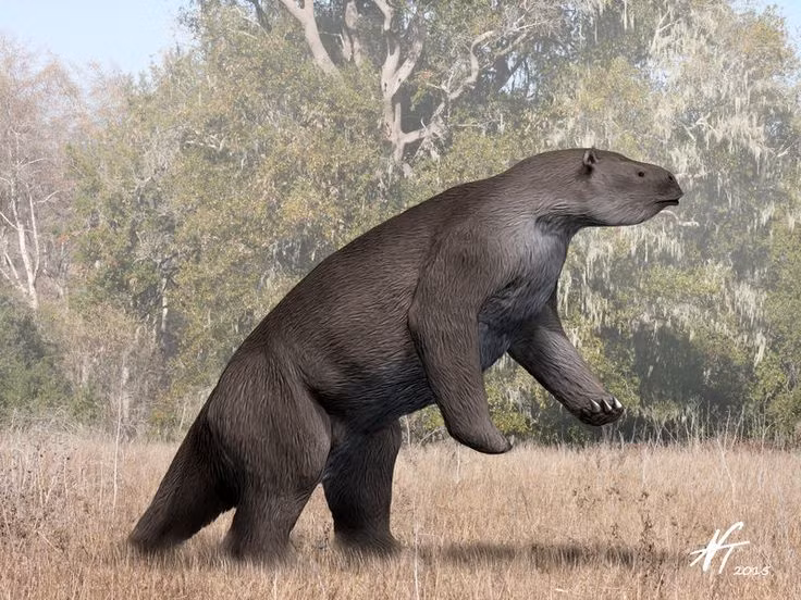  Di chuyển chậm chạp. Cũng giống như lười hiện đại, lười khổng lồ di chuyển với tốc độ rất chậm chạp so với kích thước của mình. Ảnh: Pinterest.